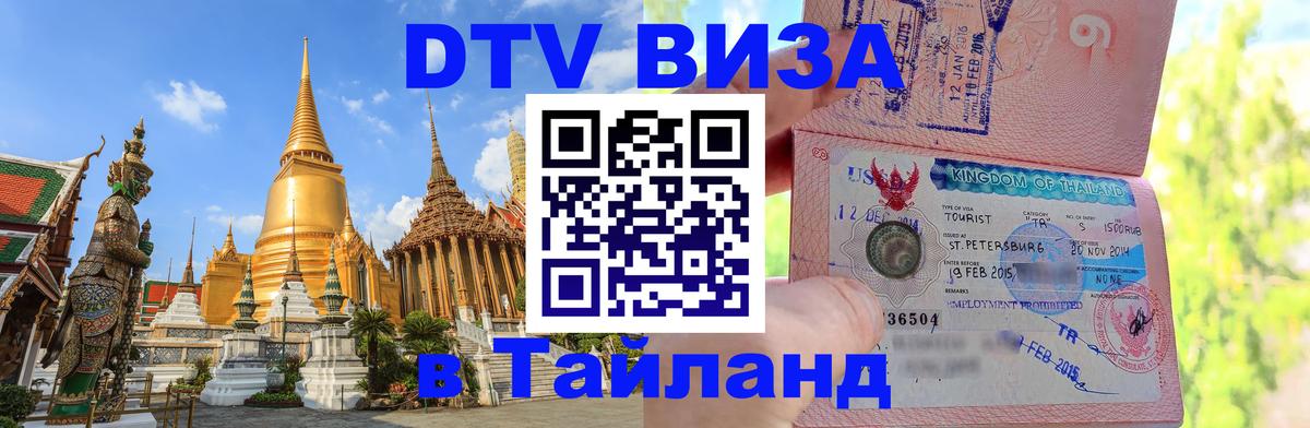 Оформление DTV визы под ключ: стоимость и тарифы, только загранпаспорт - 18.11.2025 